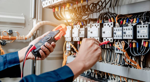 Best Electric Panel Repair  in Frewsburg, NY