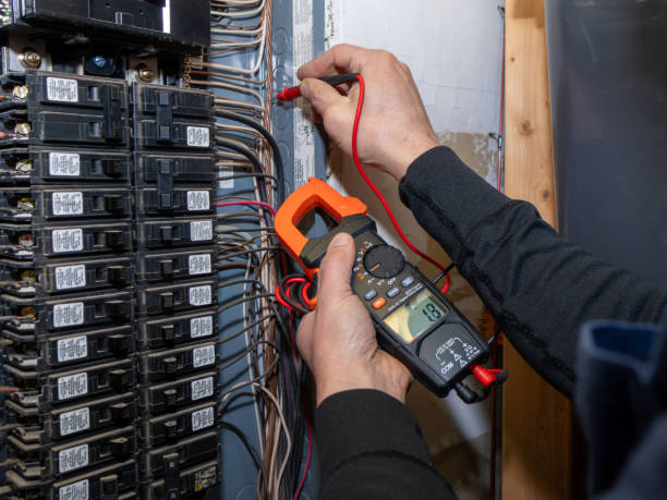 Best Ceiling Fan Installation Electrician  in Frewsburg, NY